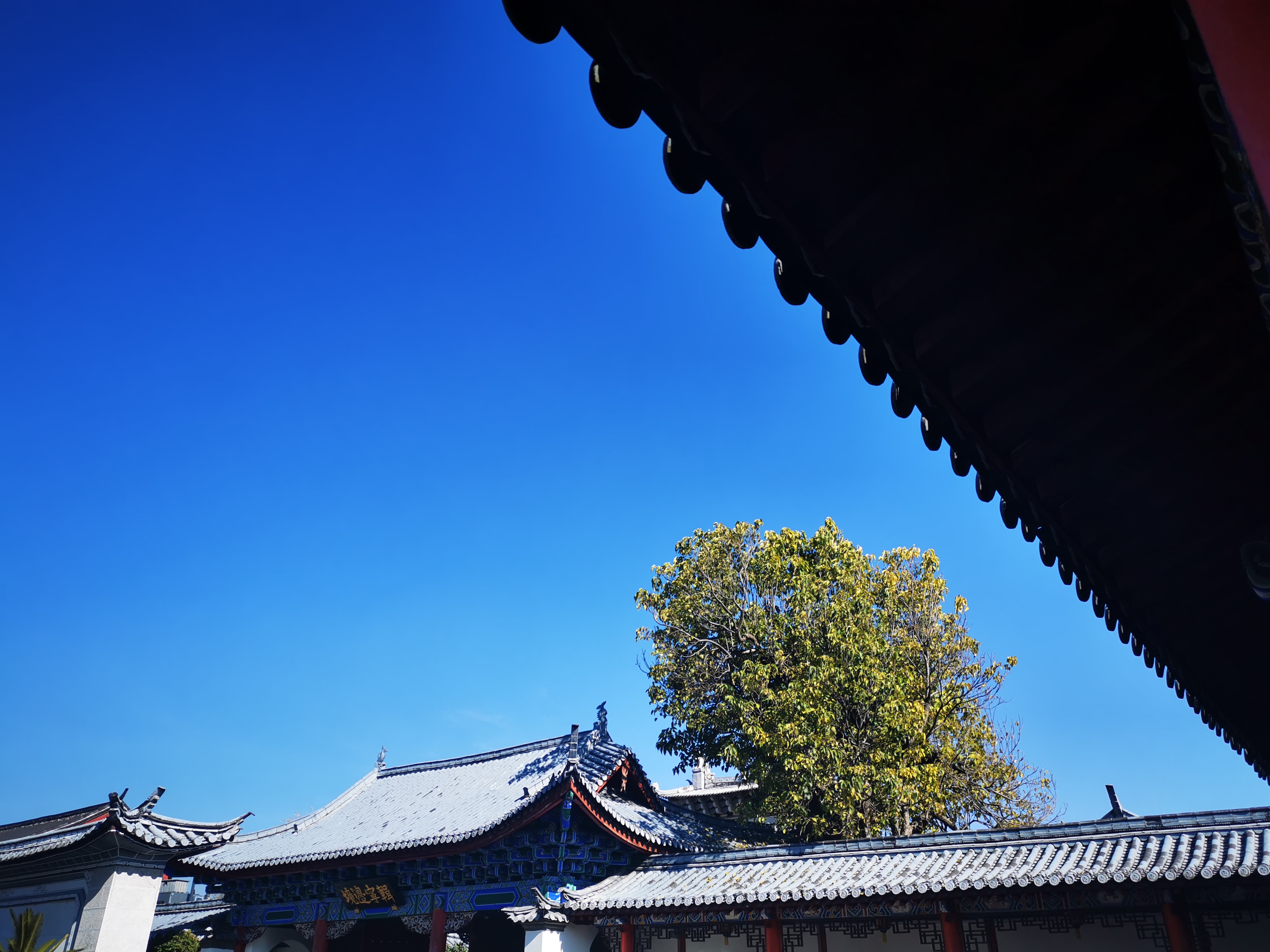木府_20251222115654_2761_2.jpg