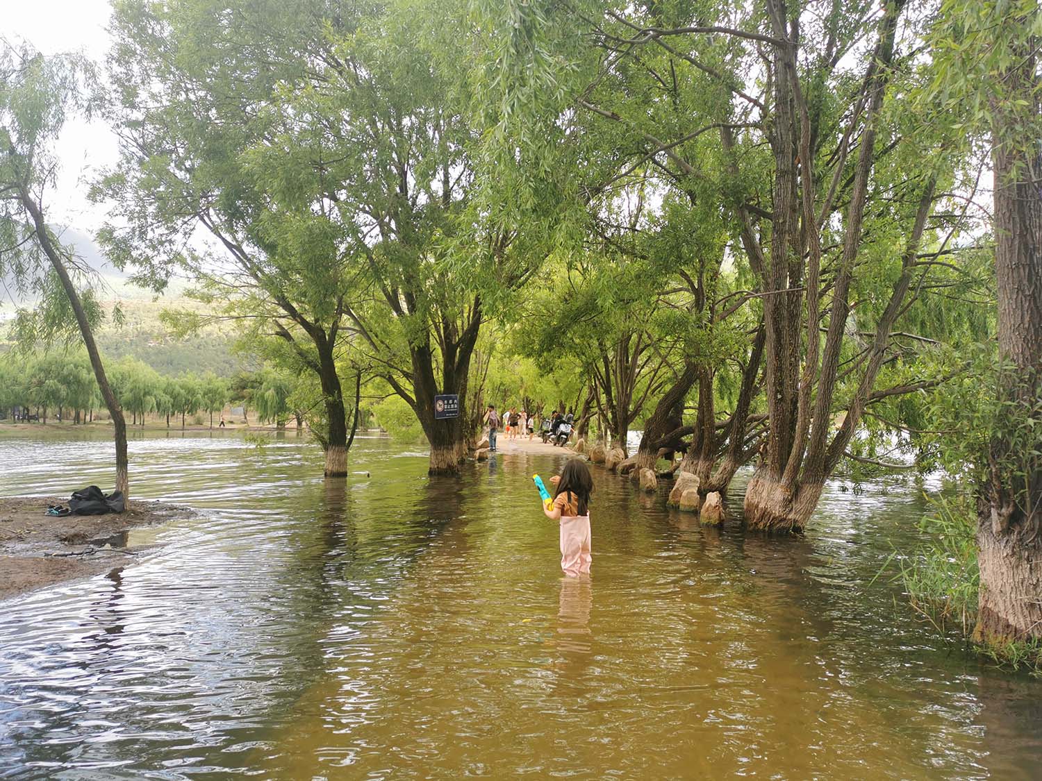 文笔海_20260530130349_3059_4.jpg