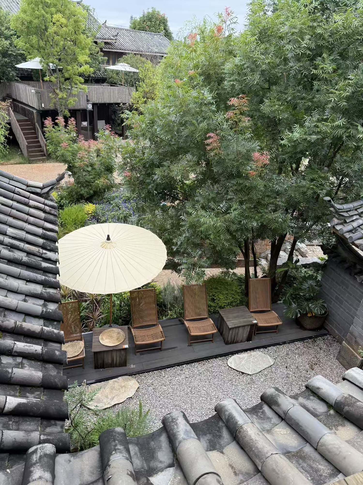 八叶_20260726163801_319_8.jpg
