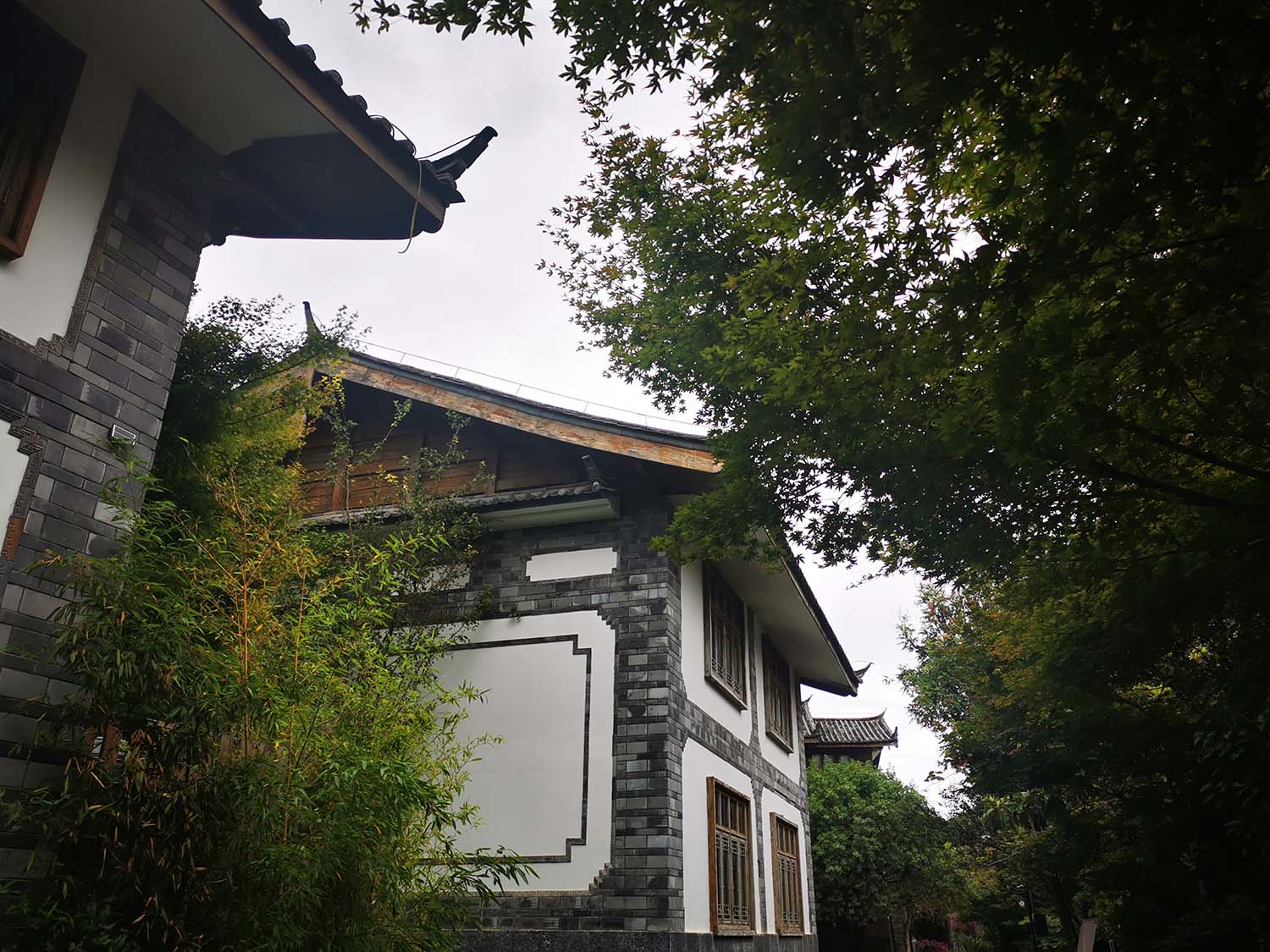 八叶_20260726164055_424_8.jpg